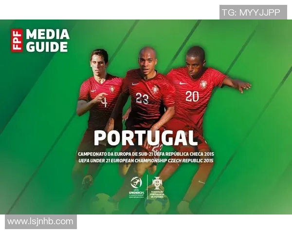 葡萄牙与马其顿的回收策略对比及其环境影响分析