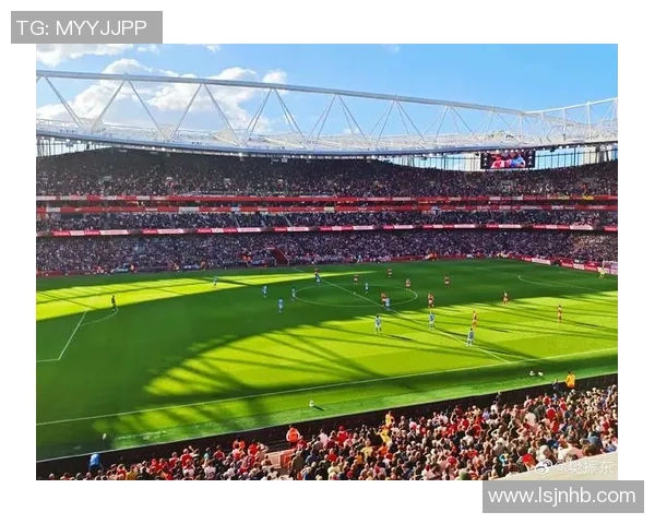 荷兰与英格兰激战正酣爱奇艺独家直播精彩赛事回顾