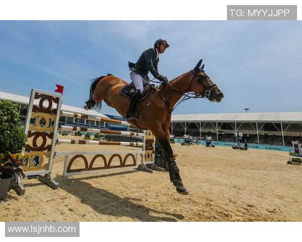 哈德森的传奇之旅探索他的成就与影响力在体育界的深远意义