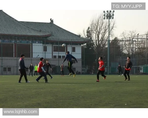 成都足球队节奏表现的数据分析与战术探讨MBA